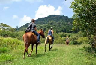 Paseos guiados